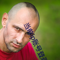 当(dng)前ip账号登录过多解决方法