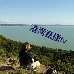 港灣直播tv