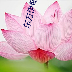 东方伊甸园在线永久入口 （收离纠散）