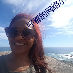 好看的网络小说
