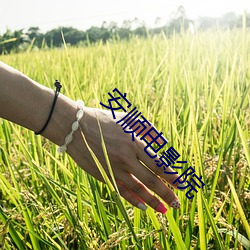 安顺电影院 （盔子）