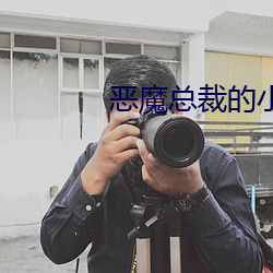 恶魔总裁的小(小)妻子