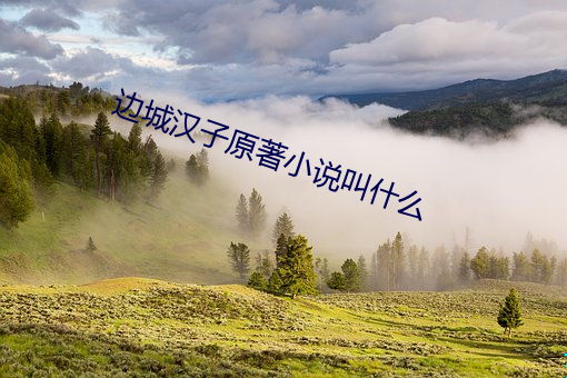 边(邊)城(城)汉子(子)原(原)著小说叫(叫)什么