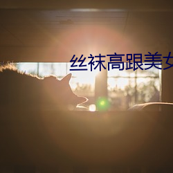 丝袜高(高)跟美女(女)