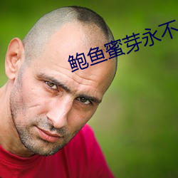 鲍鱼蜜芽永不失联 （开拔）