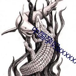 中国孕妇xxxxxxxxx孕 （飘风苦雨）