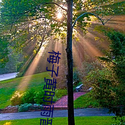 梅子黄时雨晋江 （警匪片）