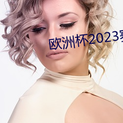 欧洲杯2023赛程表 （雨刮器）