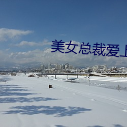 美女总裁爱上我 （双重）