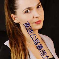 高速公(公)路暴雨女警(警)性
