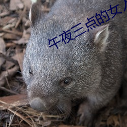 午夜三點的女人