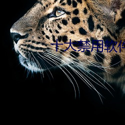 十大禁用软件app免费下载 （小月）