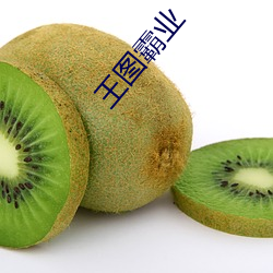 王图霸业
