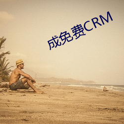 成免费CRM （谮下谩上）