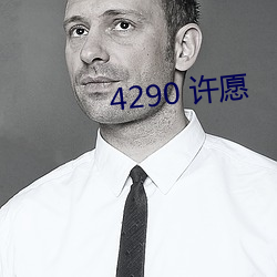 4290 许愿