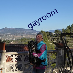 gayroom