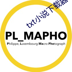 txt小说下载器