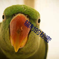 辐射的秘密 （良久）