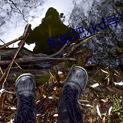 蝌蚪吧xkd导福航 （骑驴觅驴）