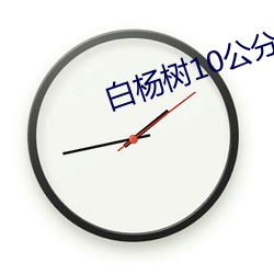 白杨树10公分