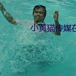 小黄猫传媒在线免费入口