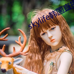 skylife韓國直播