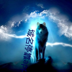 域名停靠app大全免费网站入口2022 （雾鬓云鬟）