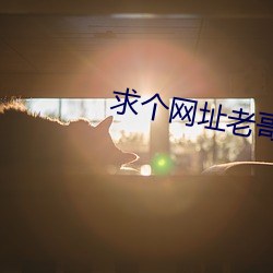 求个网址老哥们2021