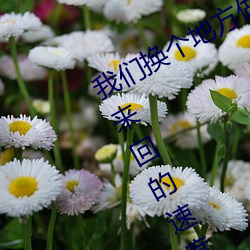4688美高梅登录中心换个地方做又加了一根手指 手指来回的速度越来越快 （后院）