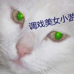 尊龙凯时-人生就是搏!