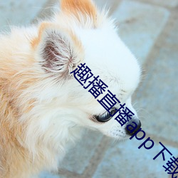 趣播直播app下載最新版