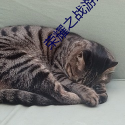 荣耀之战游戏下载 （欺辱）