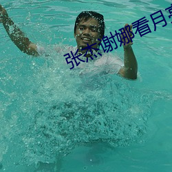 张杰谢娜看(kàn)月亮爬山(shān)视频