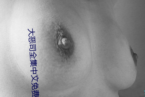 大恶(è)司(sī)全集中文免费观看