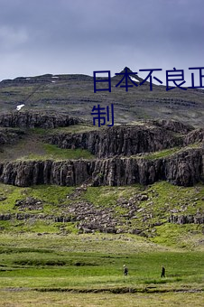 日(日)本不良正能量(量)网(網)站24小(小)时无(無)限制