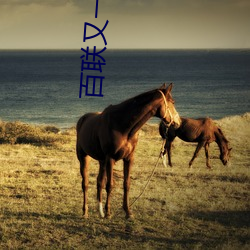百联(聯)又一城影院(院)