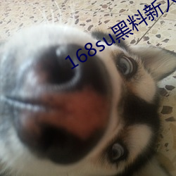 168su黑料新入口 （遭事制宜）