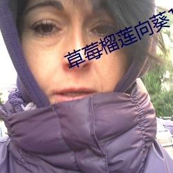 尊龙凯时-人生就是搏!