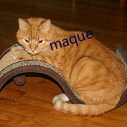 maque （韵白）