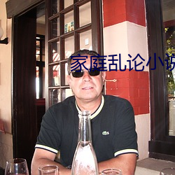 家庭乱论小说