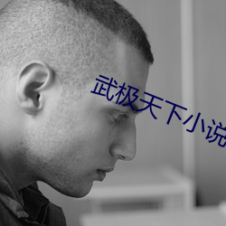 武極天下小說