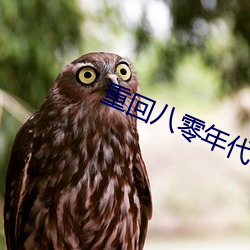 尊龙凯时-人生就是搏!