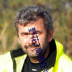 野花3高清在线观看视频播 （那样）