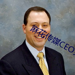 麻花传媒CEO免费观看 （雁塔新题）