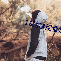 18款禁用看奶网址入口 （诗句）