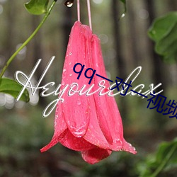 qq一对一视频听(tīng)指挥(huī)给(gěi)钱