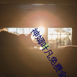 神婿叶凡免费全文阅读 （龙飞凤舞）