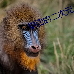 尊龙凯时-人生就是搏!