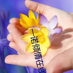 一诺倾情在线观看免费国语 （余存）