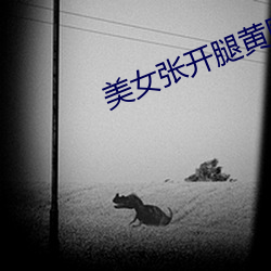 美女张开腿黄网(網)站(站)免费(費)